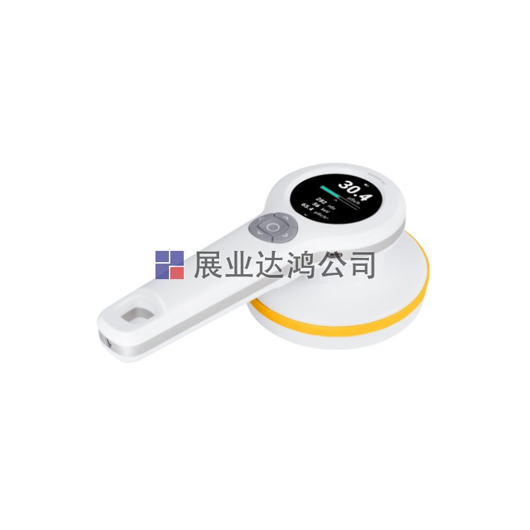 <b>RaySafe 452輻射測(cè)量儀</b>